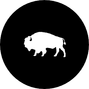 Buffalo Websites logo klein